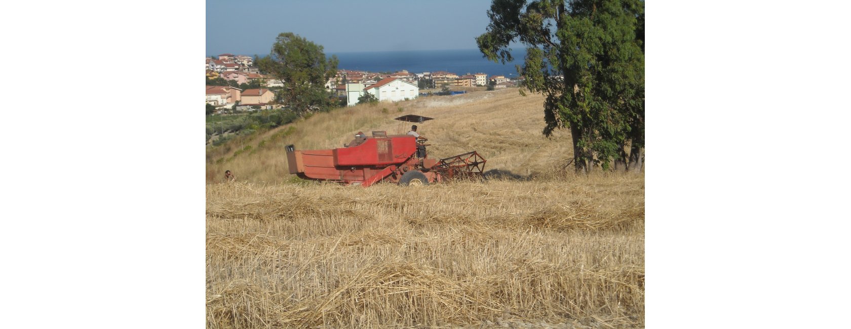 Agraria Gallelli